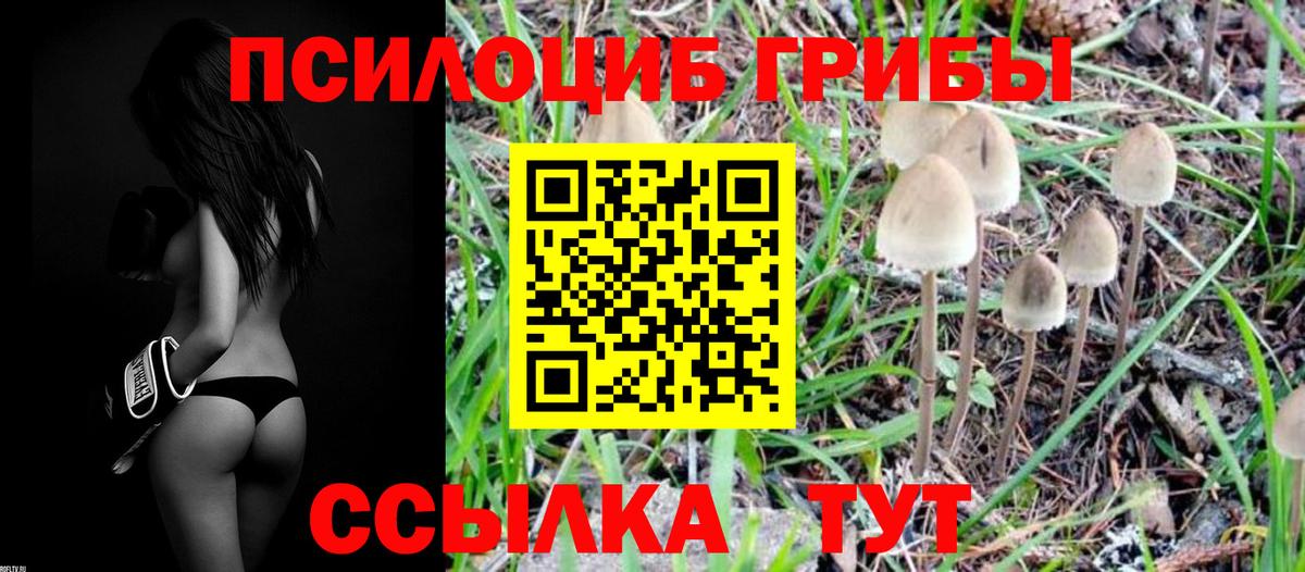 Псилоцибиновые грибы Psilocybine cubensis  Галлюциногенные грибы мухоморы  Вход с VPN  закладка  Фролово 